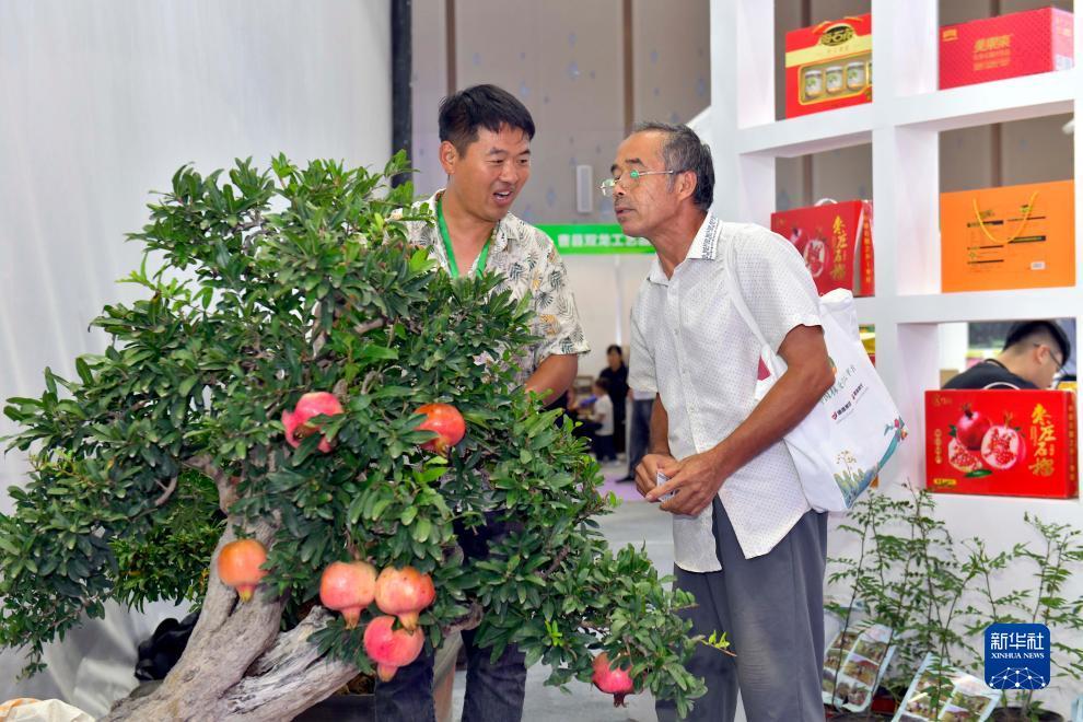 免费约局的麻将